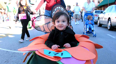 Grapevi butterfly Festival