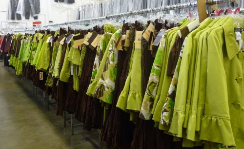 Sharon Young Rack Shot 2