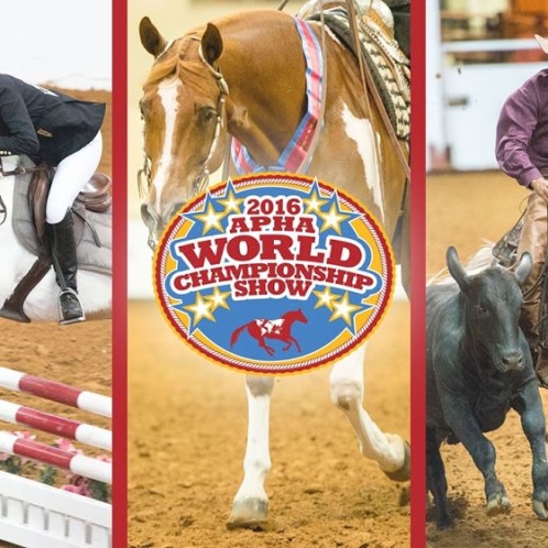 Paint Horse World Championship